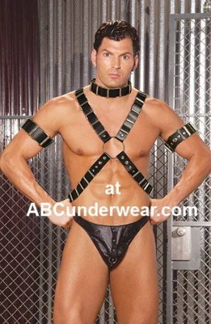 Premium Men's 4 Piece Harness Set for the Modern Gentleman